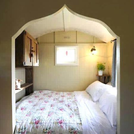 Beech Shepherds Hut ยอร์ค ภายนอก รูปภาพ